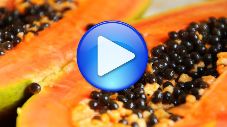 Exoten-Check: Die Papaya [mit Video] - Schlaraffenwelt - Expedition Genuss